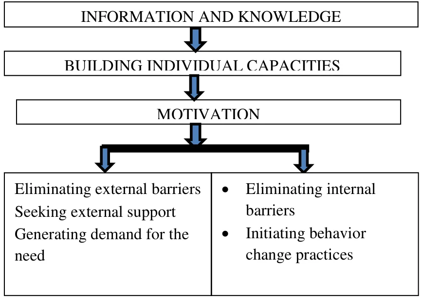 Flow diagram of interventions at various stages. Three boxes in sequence, each with a downward arrow: Information and knowledge, Building individual capacities, Motivation. The last arrow splits into two boxes: Eliminating external barriers, Seeking external support, Generating demand for the need; and Eliminating internal barriers, Initiating behavior change practices.
