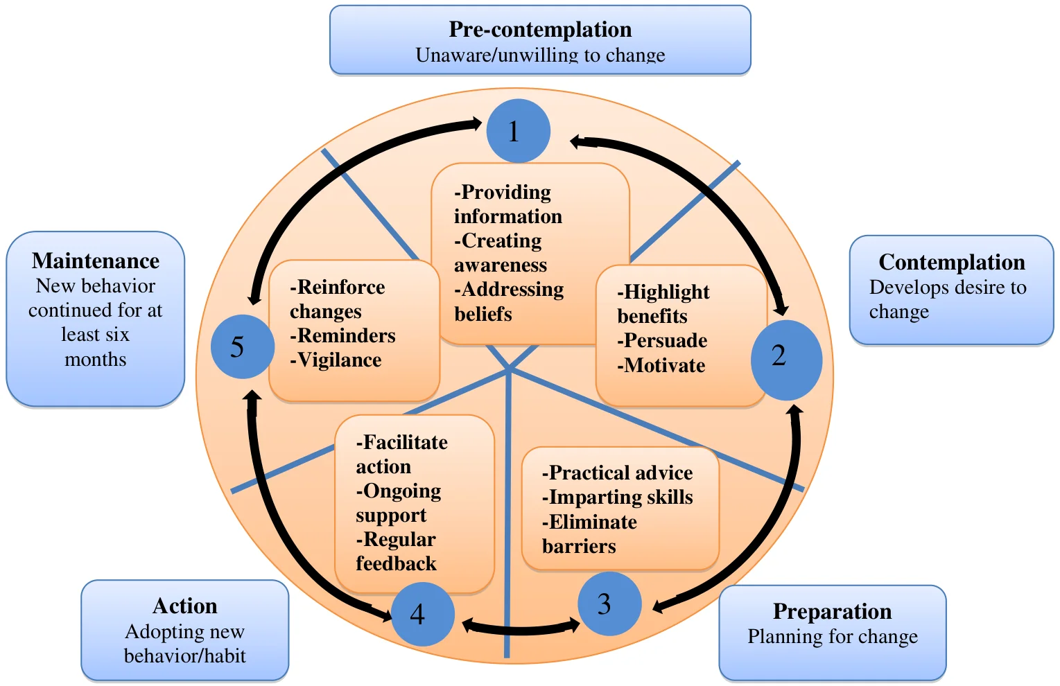 Circular diagram of the Trans Theoretical Model with five numbered stages joined by arrows: 1 Pre-contemplation (unaware/unwilling to change; providing information, creating awareness, addressing beliefs), 2 Contemplation (develops desire to change; highlight benefits, persuade, motivate), 3 Preparation (planning for change; practical advice, imparting skills, eliminate barriers), 4 Action (adopting new behavior/habit; facilitate action, ongoing support, regular feedback), 5 Maintenance (new behavior continued for at least six months; reinforce changes, reminders, vigilance).